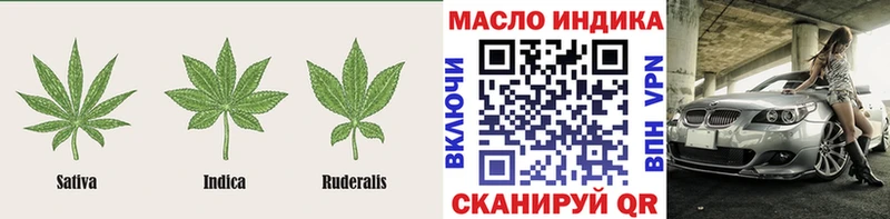 ТГК гашишное масло  ссылка на мегу сайт  Александровск  закладки 