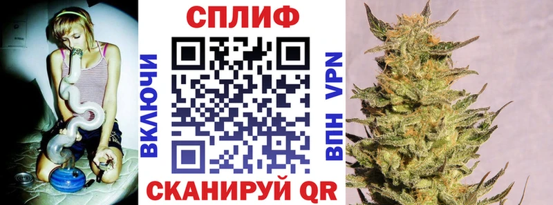 закладки  Александровск  Канабис план 